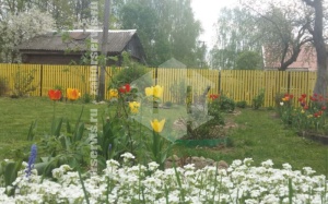 Забор из евроштакетника с забивными столбами 74 метра